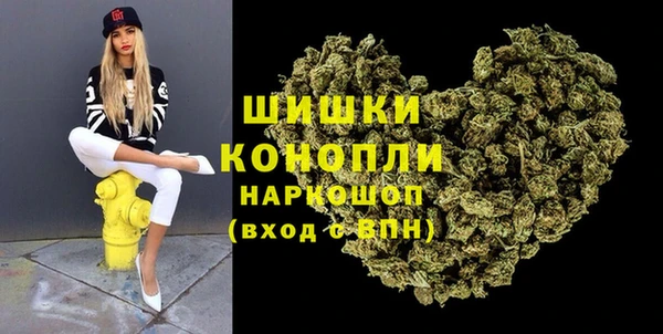 ГАЛЛЮЦИНОГЕННЫЕ ГРИБЫ Рославль