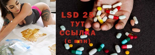 ПСИЛОЦИБИНОВЫЕ ГРИБЫ Балахна