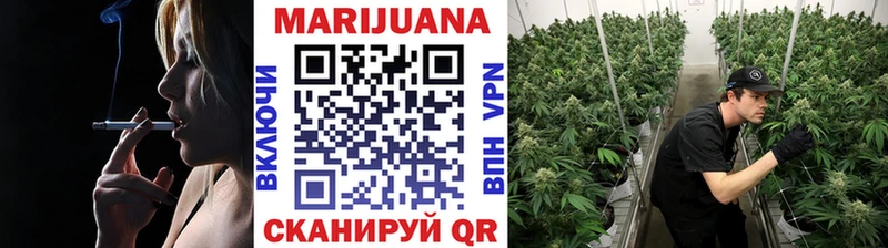 Конопля планчик Чудово